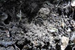 post-33996-0-47312500-1432652216_thumb.j