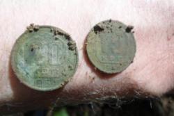 post-33996-0-60486200-1432652338_thumb.j