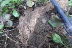 post-33996-0-73094200-1432652287_thumb.j