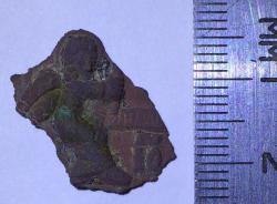 post-34042-0-62511200-1431457070_thumb.j