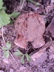 post-34289-0-56398700-1430944462_thumb.j