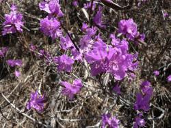 post-34345-0-39697500-1431825681_thumb.j