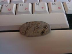 post-34421-0-83605400-1432283050_thumb.j