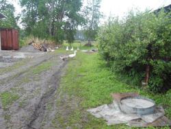 post-4119-0-17757800-1432643810_thumb.jp