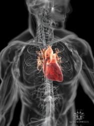 post-4119-0-71386100-1431432031_thumb.jp