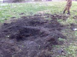 post-4123-0-89974600-1431983462_thumb.jp