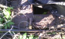 post-6368-0-43401500-1431275905_thumb.jp