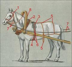 post-2102-030376700 1277383087_thumb.jpg