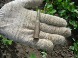 post-2349-001869000 1277564390_thumb.jpg