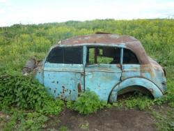 post-2349-010973500 1277565084_thumb.jpg