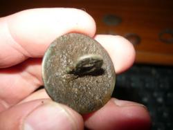 post-2349-029729000 1277397021_thumb.jpg