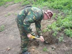 post-2349-030975300 1277564456_thumb.jpg