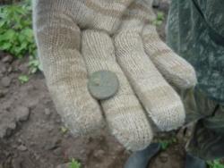 post-2349-056162200 1277564471_thumb.jpg