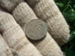 post-2349-059424000 1277565010_thumb.jpg