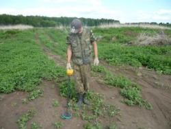 post-2349-070201500 1277564510_thumb.jpg