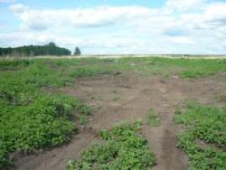 post-2349-072414500 1277564359_thumb.jpg