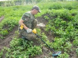 post-2349-076296600 1277564374_thumb.jpg