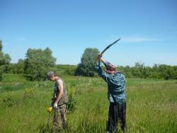 post-2349-078931400 1277908642_thumb.jpg