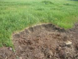 post-2349-083459400 1277565073_thumb.jpg