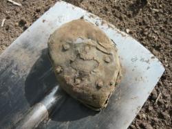 post-2349-087169900 1277564985_thumb.jpg