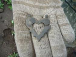 post-2349-091065300 1277564482_thumb.jpg