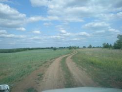 post-2661-010446500 1277045443_thumb.jpg