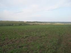 post-2661-026306600 1277046922_thumb.jpg