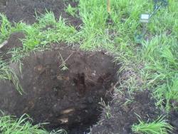 post-2898-091476100 1276105854_thumb.jpg