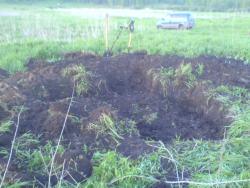 post-2898-094114900 1276107730_thumb.jpg