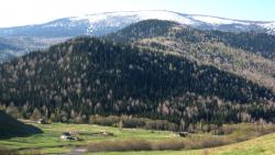 post-3169-012659400 1276011730_thumb.jpg