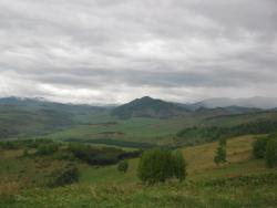 post-3169-061194100 1276012074_thumb.jpg