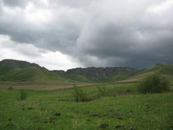 post-3169-082557000 1276012104_thumb.jpg