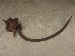 post-3696-086004000 1276205806_thumb.jpg