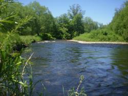 post-3757-011391400 1276514964_thumb.jpg