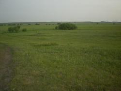 post-3757-063055500 1276515288_thumb.jpg