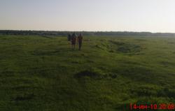 post-488-000748400 1276604399_thumb.jpg