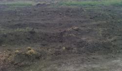 post-488-001599900 1277557859_thumb.jpg