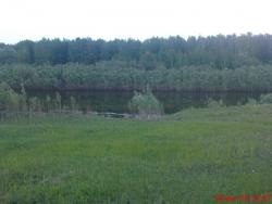 post-488-003279000 1276604551_thumb.jpg