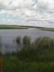 post-488-012140300 1276083810_thumb.jpg