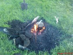 post-488-014296000 1276604513_thumb.jpg