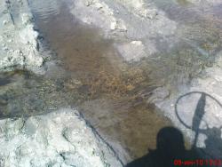 post-488-022663100 1276083836_thumb.jpg