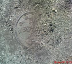 post-488-028264900 1276859618_thumb.jpg