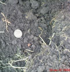 post-488-046858400 1277031138_thumb.jpg