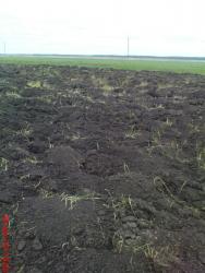 post-488-065436100 1277031073_thumb.jpg