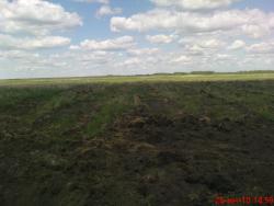 post-488-074116700 1277557866_thumb.jpg