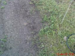 post-488-086444500 1276361209_thumb.jpg