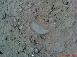 post-488-088941900 1277468954_thumb.jpg