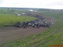 post-488-092389900 1276604771_thumb.jpg