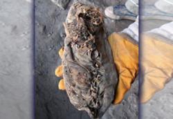 post-498-007207700 1276514936_thumb.jpg