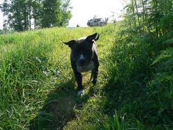 post-802-035713800 1276935899_thumb.jpg